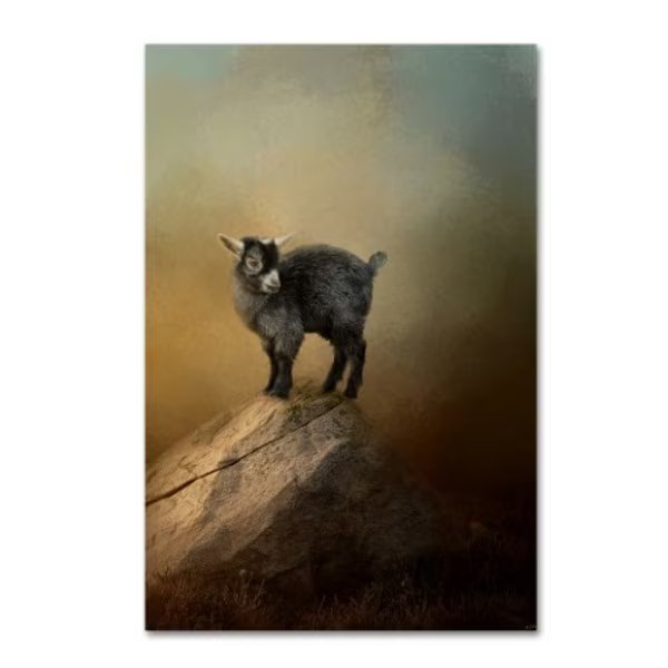 Jai Johnson 'Little Rock Climber' Canvas Art, 22x32, Trademark Fine Art, Mfr#: ALI14199-C2232GG